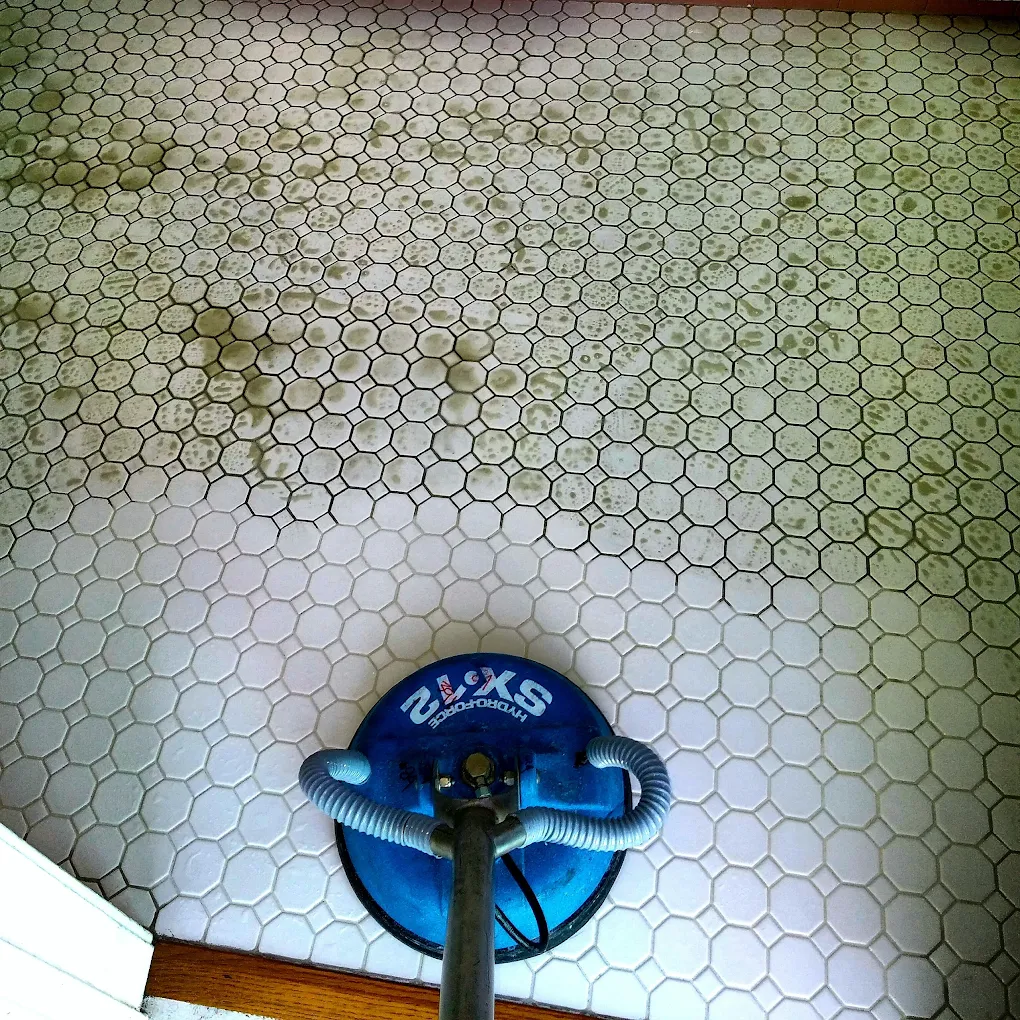 Carpet cleaning service downtown san diego CA